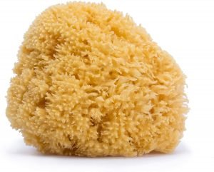 Esponja natural del mar para bebé de Suavinex